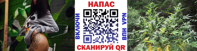 купить Туран Каннабис AK-47